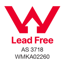 CliniLever® CP-BS Lead Safe™ Hospital Single Lever Basin Mixer W&C