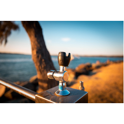 Ezy-Drink® CP Lead Safe™ Vertical Push Button Drinking Bubbler Tap - MI (LH)