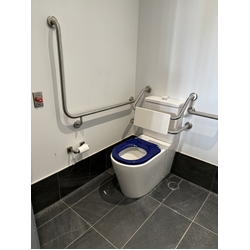GalvinAssist® Clean Flush Accessible Toilet Suite with Single Flap Grey Seat