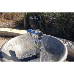 Ezy-Drink® CP Lead Safe™ Vertical Push Button Drinking Bubbler Tap - FI (RH)