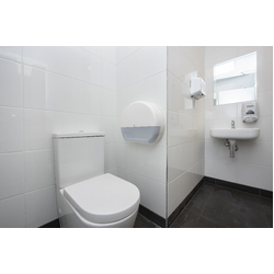 GalvinAssist® Rimless Ambulant Toilet Suite with Double Flap Soft Close Grey Seat