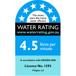 Wallgate Ligature Resistant S/Surface Wall Basin with Integ Outlet & LH Shelf - Front Fixed