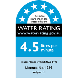 Wallgate Ligature Resistant S/Surface Wall Basin with Integ Outlet & RH Shelf - Front Fixed