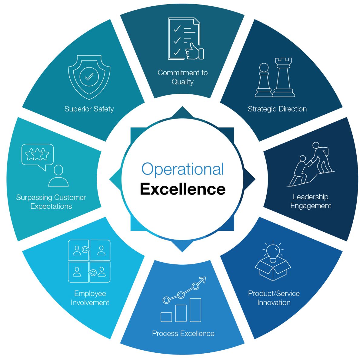 Infographic of the Company's Operational Excellence Plan