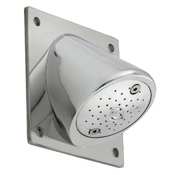 GalvinCare® CP-BS Lead Safe™ Mental Health Anti-Ligature Shower Rose with 100mm Bolting Plate