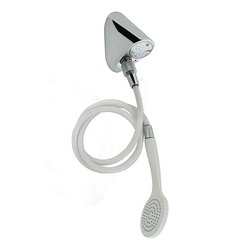 GalvinCare® CP-BS Lead Safe™ MH Ligature Resistant Safe-Connect Shower Head & Hand Shower