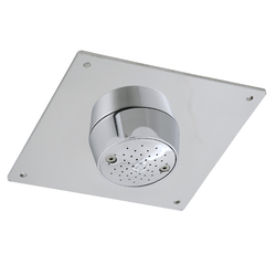 GalvinCare® CP-BS Mental Health Anti-Ligature Ceiling Mtd Shower Rose SS Plate [MTO]