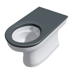Wallgate Anti-Ligature, Anti-Vandal Solid Surface Back To Wall Pan S&P with Grey Integrated Seat 446x702 - White