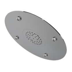 Wallgate Anti-Ligature brushed SS Ceiling Mounted Shower with Removable Plate & Anti-Ligature Screw